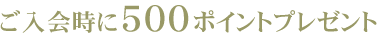 �������500�|�C���g�v���[���g